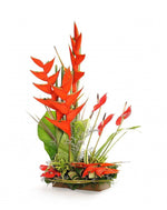 Load image into Gallery viewer, Red Heliconia
