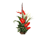 Load image into Gallery viewer, anthuriums with ornamental butterflies.
