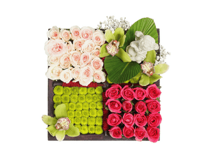 green daisies and roses for delivery